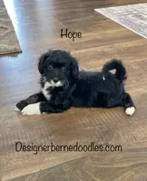 processed/60702b10-24a9-4717-a9bb-a7ba928062a2/listing/46ac4908-2cc1-4b3a-8222-b89a201a88b5/d26485a1-8f1b-4341-82d1-33822b1896b3