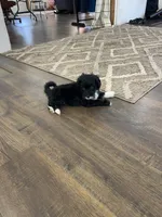 processed/60702b10-24a9-4717-a9bb-a7ba928062a2/listing/46ac4908-2cc1-4b3a-8222-b89a201a88b5/d58999b4-d707-4130-b4b9-a1bbc5c44a8d