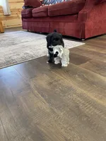 processed/60702b10-24a9-4717-a9bb-a7ba928062a2/listing/46ac4908-2cc1-4b3a-8222-b89a201a88b5/ea9fb111-2e69-4f9e-b2ef-9f9d4fdcb71c