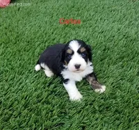 processed/60702b10-24a9-4717-a9bb-a7ba928062a2/listing/46fbe213-d86c-4840-8921-5165db84168a/086a39d0-ed39-4073-b30d-cb61e4205669