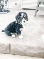 processed/60702b10-24a9-4717-a9bb-a7ba928062a2/listing/46fbe213-d86c-4840-8921-5165db84168a/3c91f284-1786-40d5-bd6d-63ee07788010