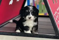 processed/60702b10-24a9-4717-a9bb-a7ba928062a2/listing/46fbe213-d86c-4840-8921-5165db84168a/67ddfe64-41d7-448c-83db-33173e6830eb