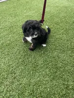 processed/60702b10-24a9-4717-a9bb-a7ba928062a2/listing/5a854109-a456-4df1-8978-8e63f39a189d/62975035-3b51-4a69-8b8c-5e21a10c17dd