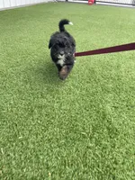 processed/60702b10-24a9-4717-a9bb-a7ba928062a2/listing/5a854109-a456-4df1-8978-8e63f39a189d/6a8d40fe-cb81-4ee1-a2dd-cd658bd4117f