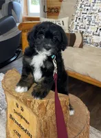 processed/60702b10-24a9-4717-a9bb-a7ba928062a2/listing/5a854109-a456-4df1-8978-8e63f39a189d/83a75b58-baa6-47cc-adf7-2a04204cae90