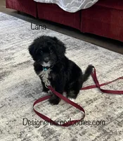 processed/60702b10-24a9-4717-a9bb-a7ba928062a2/listing/5a854109-a456-4df1-8978-8e63f39a189d/dbfc0e72-4d91-42ed-b78c-cf0fff8bee99