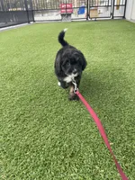 processed/60702b10-24a9-4717-a9bb-a7ba928062a2/listing/5a854109-a456-4df1-8978-8e63f39a189d/e7bf29d5-ec50-4405-af42-cfa075e05a51