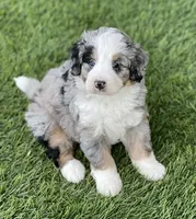 processed/60702b10-24a9-4717-a9bb-a7ba928062a2/listing/7f085a4d-de98-412c-9f32-8f3b7b156367/26ab6c81-779f-4151-b705-7ebbd544b226