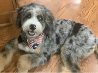 processed/60702b10-24a9-4717-a9bb-a7ba928062a2/listing/7f085a4d-de98-412c-9f32-8f3b7b156367/a606dd0e-79e9-4c3a-85e1-fceda1adf7d7