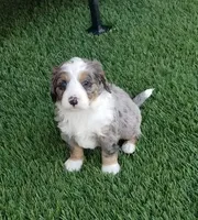 processed/60702b10-24a9-4717-a9bb-a7ba928062a2/listing/7f085a4d-de98-412c-9f32-8f3b7b156367/a6472f46-bad0-4e9a-b332-f8fa9d70d6b5