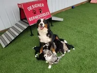 processed/60702b10-24a9-4717-a9bb-a7ba928062a2/listing/7f085a4d-de98-412c-9f32-8f3b7b156367/aee1a93f-382e-49b9-b8ae-b9b496c8d876