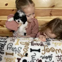 Iris F1b tiny , a female Miniature Bernedoodle for sale in Arthur, IL – Photo 3 of 6