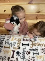 Iris F1b tiny , a female Miniature Bernedoodle for sale in Arthur, IL – Photo 3 of 6