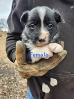 processed/6073f955-c74c-4075-a255-bcdbe921cd49/listing/1bd09ada-b9fc-456f-8426-f26287b12bc2/2d0f8510-023b-4e59-889b-683166ab5fd4