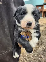 processed/6073f955-c74c-4075-a255-bcdbe921cd49/listing/56ccb1b0-7b47-4173-8a05-5e9a5ee45a13/00751a46-3784-4093-af29-b3809c352414