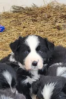 processed/6073f955-c74c-4075-a255-bcdbe921cd49/listing/56ccb1b0-7b47-4173-8a05-5e9a5ee45a13/2219e06d-571f-4551-93b2-6111f000cd88