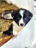 processed/6073f955-c74c-4075-a255-bcdbe921cd49/listing/63638734-db7c-47cd-9bbb-78676bbdbfc6/08681cfd-157b-4bb0-bd1f-7eae59643650