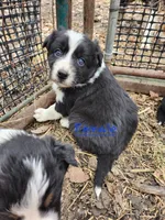 processed/6073f955-c74c-4075-a255-bcdbe921cd49/listing/63638734-db7c-47cd-9bbb-78676bbdbfc6/08f6ccc6-cd53-4d4a-bc58-6dc1c609bc9c