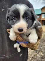 processed/6073f955-c74c-4075-a255-bcdbe921cd49/listing/c18188d7-52bf-4af7-a15a-7e22eb1c4dbb/bf3972ab-9973-4e21-af58-90052e111451