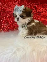 processed/6079f7b4-5366-441c-9ae2-2cdd401e214b/facility/64e56aef-6595-4ed4-9808-b0a10c6bbaa1