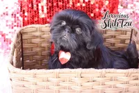 processed/6079f7b4-5366-441c-9ae2-2cdd401e214b/listing/070a6e5b-11a9-47a5-8443-0326b0cb21ed/27f62e87-8e69-4d91-8db3-dad48657478f