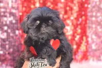 processed/6079f7b4-5366-441c-9ae2-2cdd401e214b/listing/070a6e5b-11a9-47a5-8443-0326b0cb21ed/519371c6-520a-4edd-8bf6-e1397acd5dc8