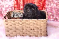 processed/6079f7b4-5366-441c-9ae2-2cdd401e214b/listing/070a6e5b-11a9-47a5-8443-0326b0cb21ed/ba621678-2798-4a89-b749-62fb094ec8e3