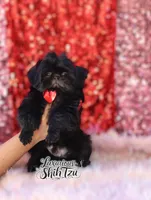 processed/6079f7b4-5366-441c-9ae2-2cdd401e214b/listing/0a6e7bae-defa-4d75-a517-7fb5e15c73da/1ece577c-b957-4a58-a398-2586357b36b5