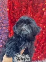 processed/6079f7b4-5366-441c-9ae2-2cdd401e214b/listing/0a6e7bae-defa-4d75-a517-7fb5e15c73da/98e0fe5b-874f-489f-bffe-c0ff3c72468a