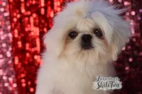 processed/6079f7b4-5366-441c-9ae2-2cdd401e214b/listing/2771de18-1cb6-4048-a1b8-e4753f3f1bbb/b9d1c83d-eb20-4507-860a-a7188ce6164e