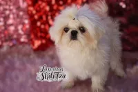 processed/6079f7b4-5366-441c-9ae2-2cdd401e214b/listing/2771de18-1cb6-4048-a1b8-e4753f3f1bbb/d5eb9a97-1429-45b2-97fd-2f0a1ba90f34