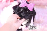 processed/6079f7b4-5366-441c-9ae2-2cdd401e214b/listing/2bef6a79-1893-4552-b34b-cd1858383584/22e9a6f2-eb87-4879-85a9-98aaa97f4d92