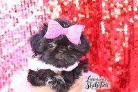 processed/6079f7b4-5366-441c-9ae2-2cdd401e214b/listing/2bef6a79-1893-4552-b34b-cd1858383584/35f27bbc-6ccb-45e2-8d66-fb24bf695006