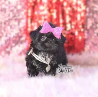 processed/6079f7b4-5366-441c-9ae2-2cdd401e214b/listing/2bef6a79-1893-4552-b34b-cd1858383584/575f9bec-c642-4357-9d16-4e9361d58bb5