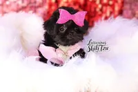 processed/6079f7b4-5366-441c-9ae2-2cdd401e214b/listing/2bef6a79-1893-4552-b34b-cd1858383584/f29180fe-3b1b-425d-80b3-7c3dca315816