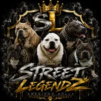 Street Legendz Kennel, a female American Bully for sale in Camden, NJ – 2 of 10