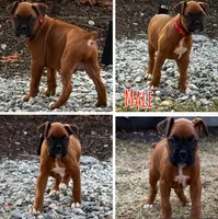 processed/607c4774-8710-420a-ab7d-6d0cafbe4036/listing/2c51c751-f2eb-47e0-a535-6727464c2617/09975a06-9aa0-40d3-94c2-4362ada4d3da