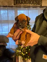 processed/607c4774-8710-420a-ab7d-6d0cafbe4036/listing/2c51c751-f2eb-47e0-a535-6727464c2617/992cc1fa-fe34-439a-9505-997d3ea45521