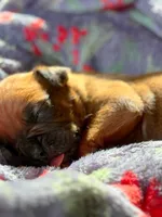 processed/607c4774-8710-420a-ab7d-6d0cafbe4036/listing/2c51c751-f2eb-47e0-a535-6727464c2617/cbb8578d-6ffb-45c8-b573-82eef36873ae