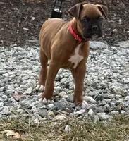 processed/607c4774-8710-420a-ab7d-6d0cafbe4036/listing/2c51c751-f2eb-47e0-a535-6727464c2617/e0a728c8-2637-4381-a2cc-d23c9afa07b7