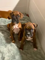 processed/607c4774-8710-420a-ab7d-6d0cafbe4036/listing/6f33cce3-a19a-4e9f-b85e-eefec06471de/44854d28-f562-4a88-9e5a-cd5c0b48f574