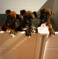 processed/607c4774-8710-420a-ab7d-6d0cafbe4036/listing/6f33cce3-a19a-4e9f-b85e-eefec06471de/602802f5-4b3c-4666-8f36-02fd2651b6ba