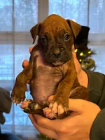 processed/607c4774-8710-420a-ab7d-6d0cafbe4036/listing/6f33cce3-a19a-4e9f-b85e-eefec06471de/7b1807d7-b091-4d74-8d31-47a0fb50655f