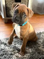 processed/607c4774-8710-420a-ab7d-6d0cafbe4036/listing/6f33cce3-a19a-4e9f-b85e-eefec06471de/82fc45ec-c150-4f6f-9017-d60826032a3e