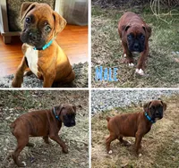 processed/607c4774-8710-420a-ab7d-6d0cafbe4036/listing/6f33cce3-a19a-4e9f-b85e-eefec06471de/b6821305-54b9-43b4-902b-4b1278bd75ca