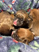 processed/607c4774-8710-420a-ab7d-6d0cafbe4036/listing/b5361244-a4ad-4451-a0c6-2196a33a0add/3a899a29-94d6-4ba9-b3a0-938b3c99212d