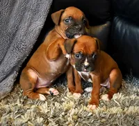 processed/607c4774-8710-420a-ab7d-6d0cafbe4036/listing/b5361244-a4ad-4451-a0c6-2196a33a0add/6f937c3f-f3de-46b2-b729-b46ff8222726