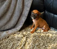 processed/607c4774-8710-420a-ab7d-6d0cafbe4036/listing/b5361244-a4ad-4451-a0c6-2196a33a0add/964e24fa-4154-49c2-8da1-7f43551394b4