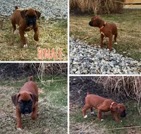 processed/607c4774-8710-420a-ab7d-6d0cafbe4036/listing/b5361244-a4ad-4451-a0c6-2196a33a0add/bf30b9f8-4c38-48ae-9699-ce6426f42244