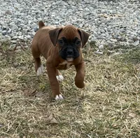 processed/607c4774-8710-420a-ab7d-6d0cafbe4036/listing/b5361244-a4ad-4451-a0c6-2196a33a0add/c6b67cfc-669d-41ff-b234-eb4b7105e860